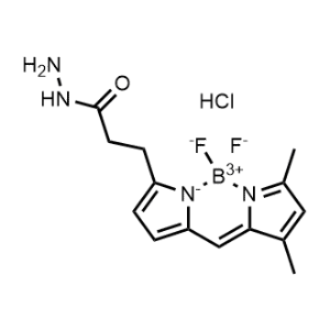 BODIPY FL hydrazide (hydrochloride)|CS-0181718