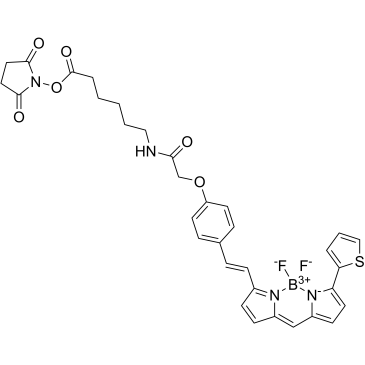 BODIPY 630/650 X NHS ester|CS-0181743