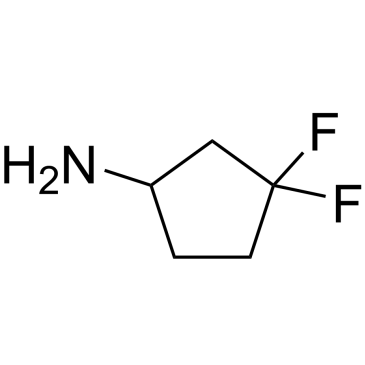 3,3-Difluorocyclopentan-1-amine|CS-0183333