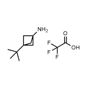 3-tert-Butylbicyclo[1.1.1]pentan-1-amine 2,2,2-trifluoroacetic acid|CS-0184319