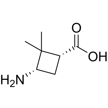 cis-3-Amino-2,2-dimethyl-cyclobutanecarboxylic acid|CS-0184599