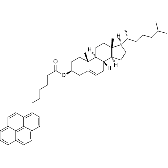 Cholesteryl (pyren-1-yl)hexanoate|CS-0185822