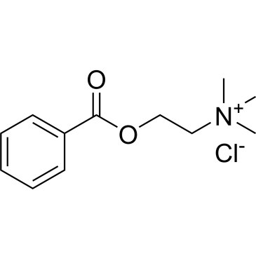 Benzoylcholine chloride|CS-0185839