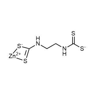Zineb|CS-0185933