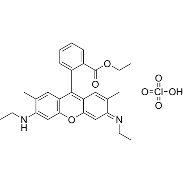 Rhodamine 6G perchlorate|CS-0185950