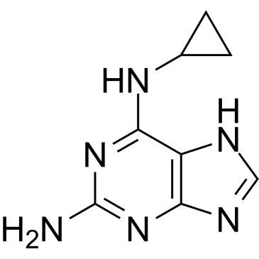 N6-Cyclopropyl-9H-purine-2,6-diamine|CS-0187573