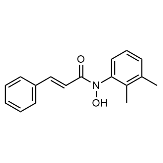 N-(2,3-Dimethylphenyl)-N-hydroxycinnamamide|CS-0188415