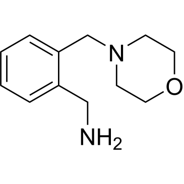 2-Morpholin-4-ylmethylbenzylamine|CS-0188472