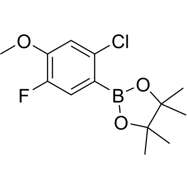 2-(2-Chloro-5-fluoro-4-methoxyphenyl)-4,4,5,5-tetramethyl-1,3,2-dioxaborolane     |CS-0188862