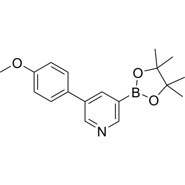 3-(4-Methoxyphenyl)-5-(4,4,5,5-tetramethyl-1,3,2-dioxaborolan-2-yl)pyridine|CS-0189133