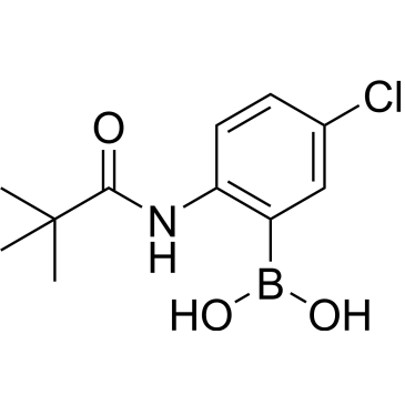 5-Chloro-2-(pivaloylamino)phenylboronic acid|CS-0190049