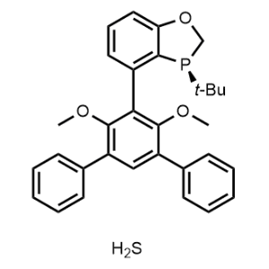 (S)-3-(tert-butyl)-4-(4',6'-Dimethoxy-[1,1':3',1''-terphenyl]-5'-yl)-2,3-dihydrobenzo[d][1,3]oxaphosphole--H2S complex|CS-0198435