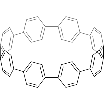 [8]Cycloparaphenylene|CS-0198496