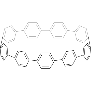 [9]Cycloparaphenylene|CS-0198507