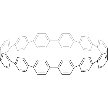 [12]Cycloparaphenylene|CS-0198508