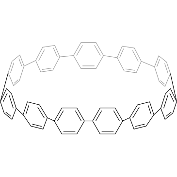 [11]Cycloparaphenylene|CS-0198518