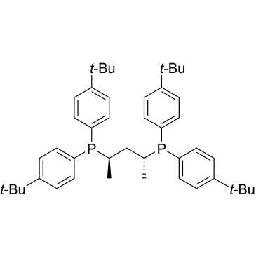 1,1'-[(1R,3R)-1,3-dimethyl-1,3-propanediyl]bis[1,1-bis[4-(1,1-dimethylethyl)phenyl]-Phosphine|CS-0201557