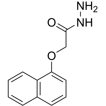 1-(Naphthoxy)acetic acid hydrazide|CS-0204508