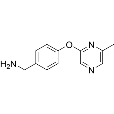 4-[(6-Methylpyrazin-2-yl)oxy]benzylamine|CS-0205685