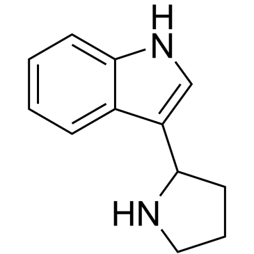 3-(2-Pyrrolidinyl)-1h-indole|CS-0206255