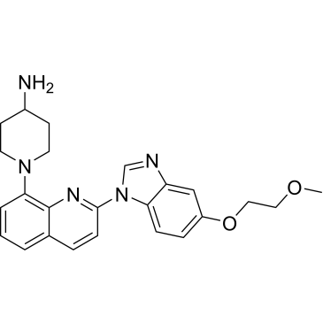 CS-0207
