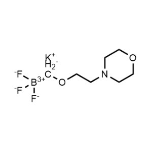 Potassium [2-(morpholin-4-yl)ethoxy]methyltrifluoroborate|CS-0207564