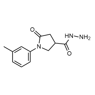 1-(3-Methylphenyl)-5-oxopyrrolidine-3-carbohydrazide|CS-0208748