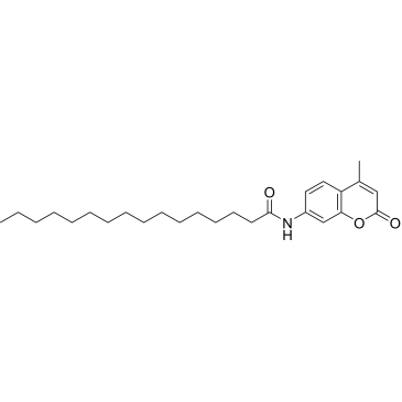 N-(4-Methyl-2-oxo-2h-chromen-7-yl)palmitamide|CS-0210885