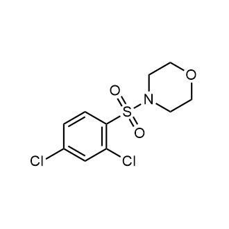 4-(2,4-Dichlorophenylsulfonyl)morpholine|CS-0211526