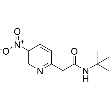 N-tert-Butyl-2-(5-nitropyridin-2-yl)acetamide|CS-0212505