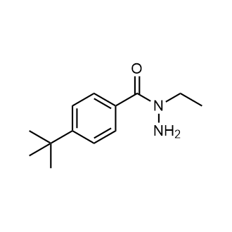 4-(tert-Butyl)-N-ethylbenzohydrazide|CS-0214403
