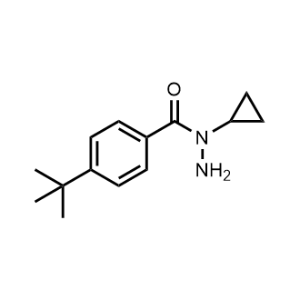 4-(tert-Butyl)-N-cyclopropylbenzohydrazide|CS-0214405