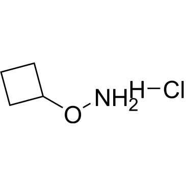 o-Cyclobutylhydroxylamine hydrochloride|CS-0215049