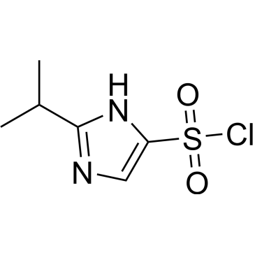 2-(Propan-2-yl)-1h-imidazole-4-sulfonyl chloride|CS-0217779