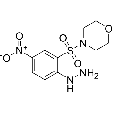 4-(2-Hydrazinyl-5-nitrobenzenesulfonyl)morpholine|CS-0219266