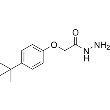 2-(4-Tert-butylphenoxy)acetohydrazide|CS-0219324