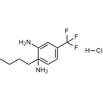 N1-butyl-4-(trifluoromethyl)-1,2-Benzenediamine hydrochloride 1:1|CS-0219611