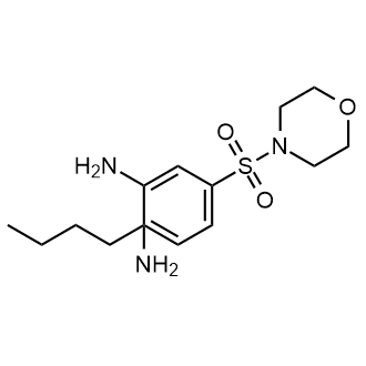 N1-Butyl-4-(4-morpholinylsulfonyl)-1,2-benzenediamine|CS-0219649