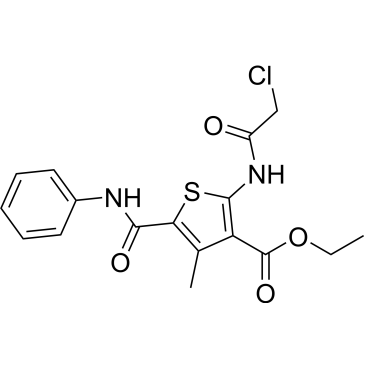 Ethyl 2-(2-chloroacetamido)-4-methyl-5-(phenylcarbamoyl)thiophene-3-carboxylate|CS-0219706
