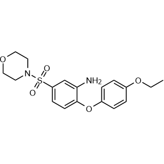 2-(4-Ethoxyphenoxy)-5-(morpholine-4-sulfonyl)aniline|CS-0220380