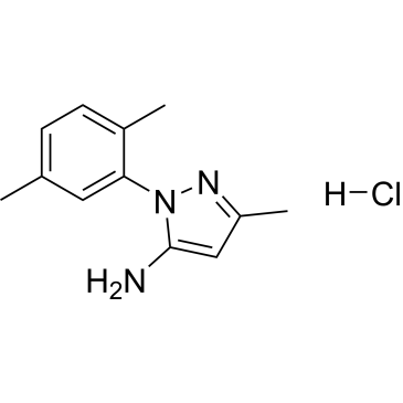 1-(2,5-Dimethylphenyl)-3-methyl-1h-pyrazol-5-amine hydrochloride|CS-0221216