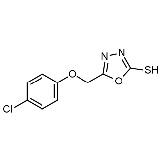 5-(4-Chlorophenoxymethyl)-1,3,4-oxadiazole-2-thiol|CS-0221732