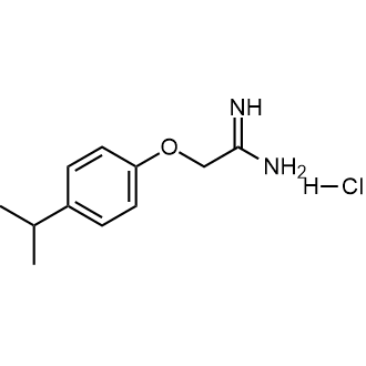 2-[4-(propan-2-yl)phenoxy]ethanimidamide hydrochloride|CS-0222510