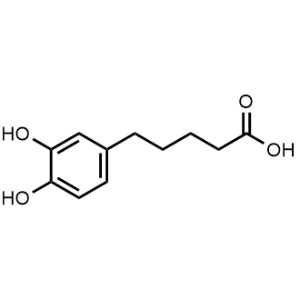 5-(3,4-Dihydroxyphenyl)pentanoic acid|CS-0222978