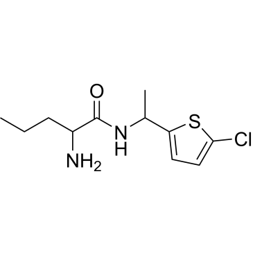 2-Amino-n-[1-(5-chlorothiophen-2-yl)ethyl]pentanamide|CS-0223505