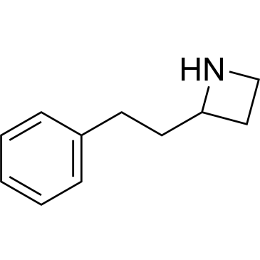 2-(2-Phenylethyl)azetidine|CS-0225764