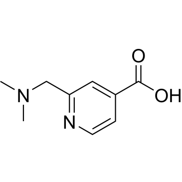 2-((Dimethylamino)methyl)isonicotinic acid|CS-0226741