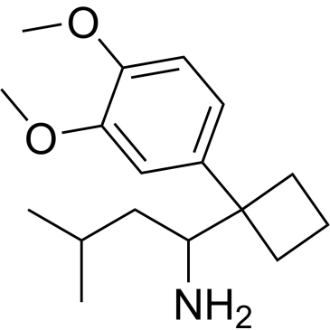 1-(1-(3,4-Dimethoxyphenyl)cyclobutyl)-3-methylbutan-1-amine|CS-0226884