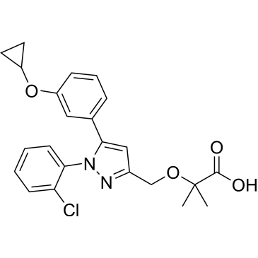 CS-0227071