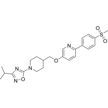 CS-0228